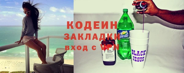 индика Верхний Тагил